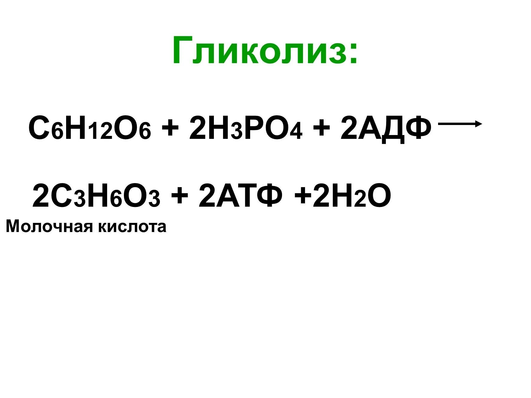 Атф н2о. Гликолиз молочная кислота. С6н12о6+2н3ро4+2адф. Молочная кислота в процессе гликолиза. АДФ+h3po4+o2.