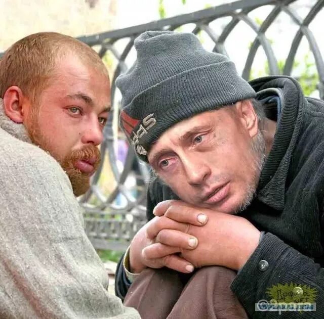 Спившиеся российские. Спившиеся российские. Спившиеся российские. Спившиеся российские. Спившиеся российские.