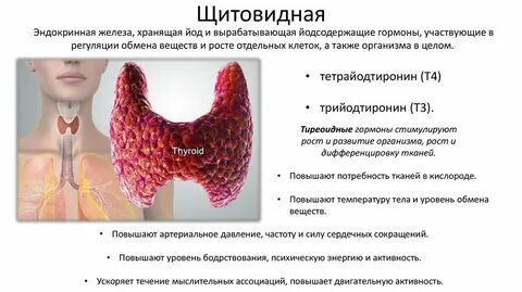 Отзывы удаливших щитовидную железу