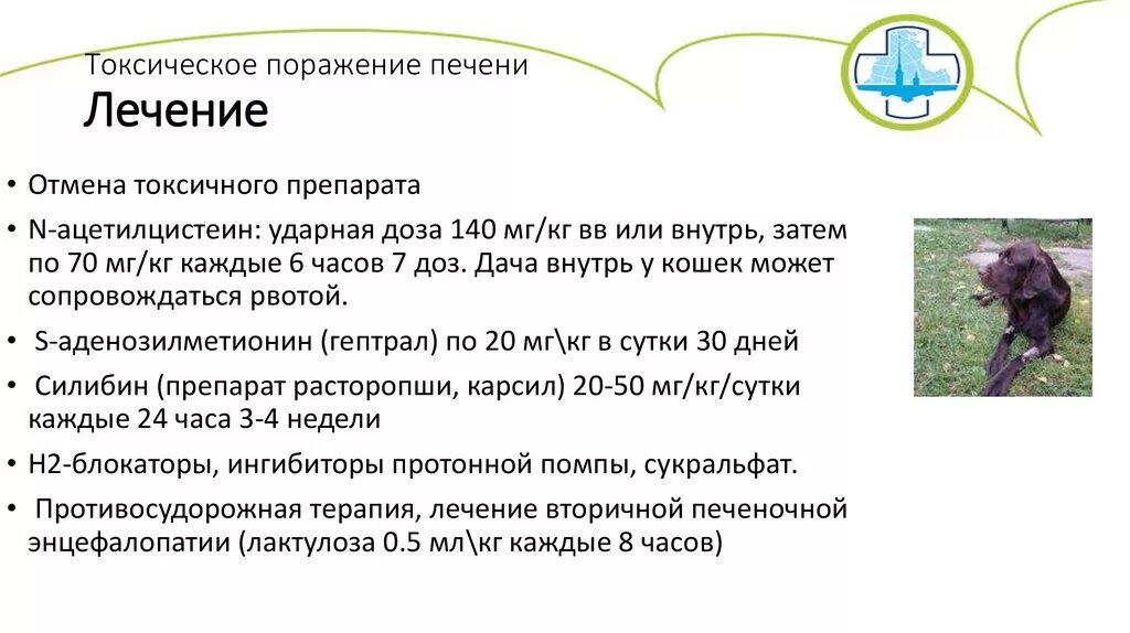 Токсический печени симптомы. Токсическое поражение печени. Токсическое поражение печени симптомы. Токсичные поражения печени симптомы. Токсических поражения печ.