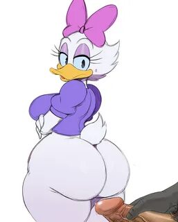 Daisy Duck Rule 34.