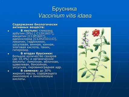 Активные растения