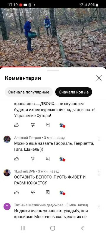 черничный хутор телеграмм последнее