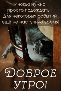 Нужно просто подождать