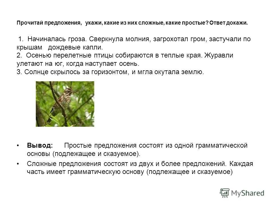 Прочитайте предложения из которого они произведения. Прочитайте предложения из какого они. Прочитай предложения какие из них являются высказываниями. К паустовский шиповник стоял повернувшись. Поставь необходимые знаки в конце каждого предложения.