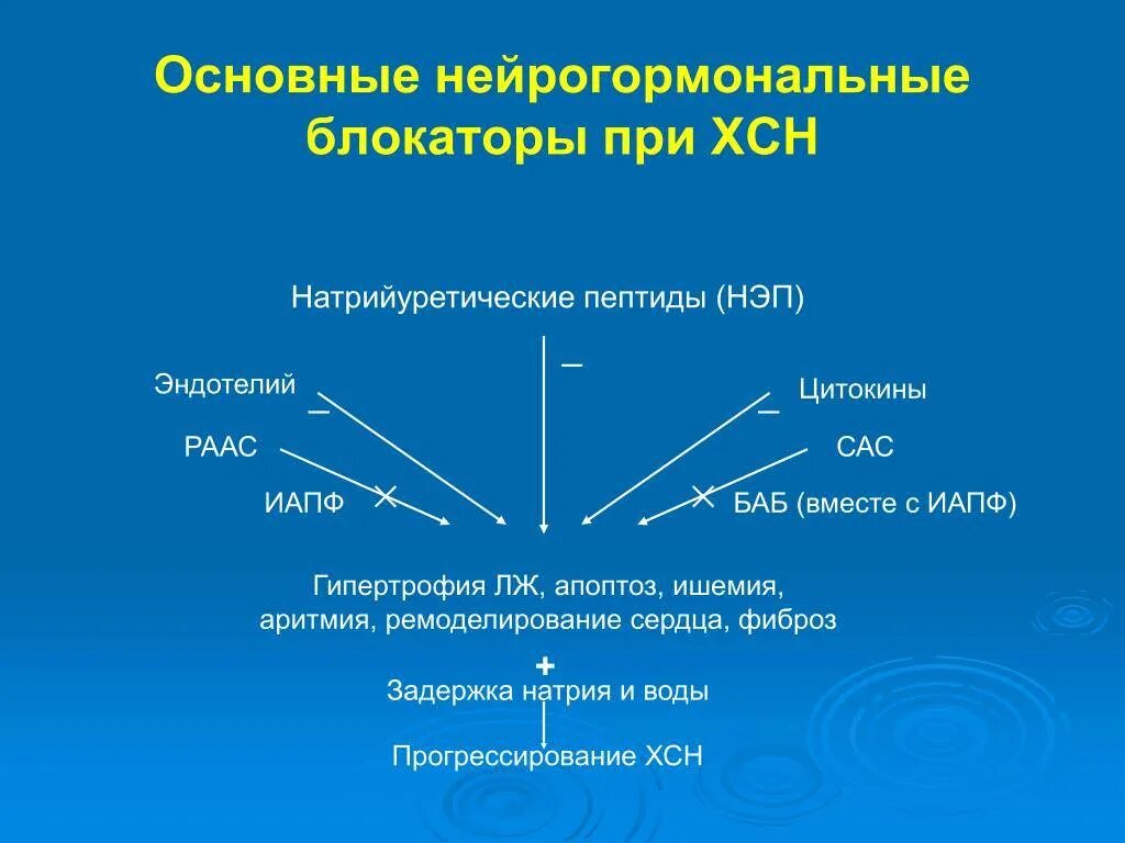 Определение пептида 32 мозга что это