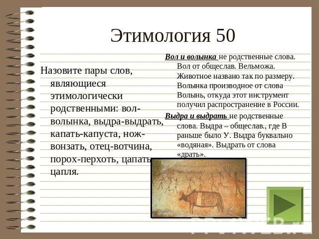 Называть этимология слова. Этимологический анализ слова. Этимология пары слов. Этимология слова капуста. Выдрать этимология.