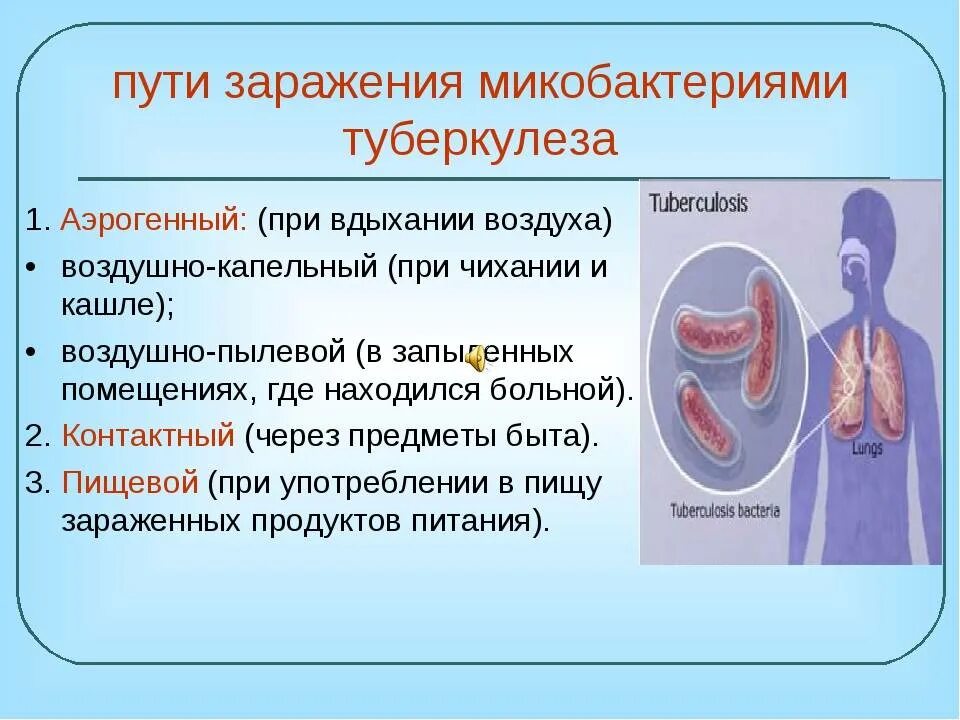 Заражение человека. Алиментарный путь заражения туберкулезом. Аэрогенный путь передачи туберкулеза. Путь заражения туберкуез. Туберкулёз способы заражения.