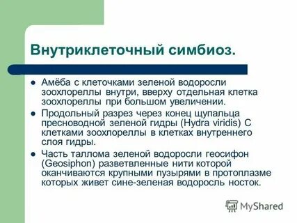 Тафак