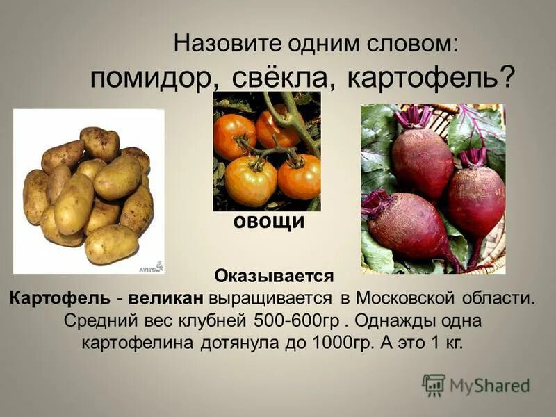 Вес 1 картофеля. Вес средней картошки. Вес среднего картофеля. Вес 1 средней картофелины. Вес одной картофелины среднего размера.