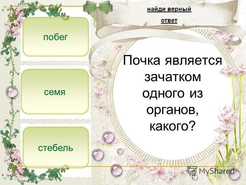 Тест по теме лист и стебель ответы. Загадка с ответом стебель. Почка является зачатком. Лист и его строение тесты. Побежал какое лицо