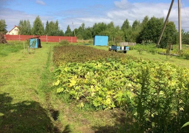 Купить участок рыбинский. СНТ Полиграфист 4 Рыбинск. Пляж Рыбинское водохранилище Огарковское сельское поселение. Рыбинск Ярославская область сады Полиграфист. Земельные участки Рыбинск.