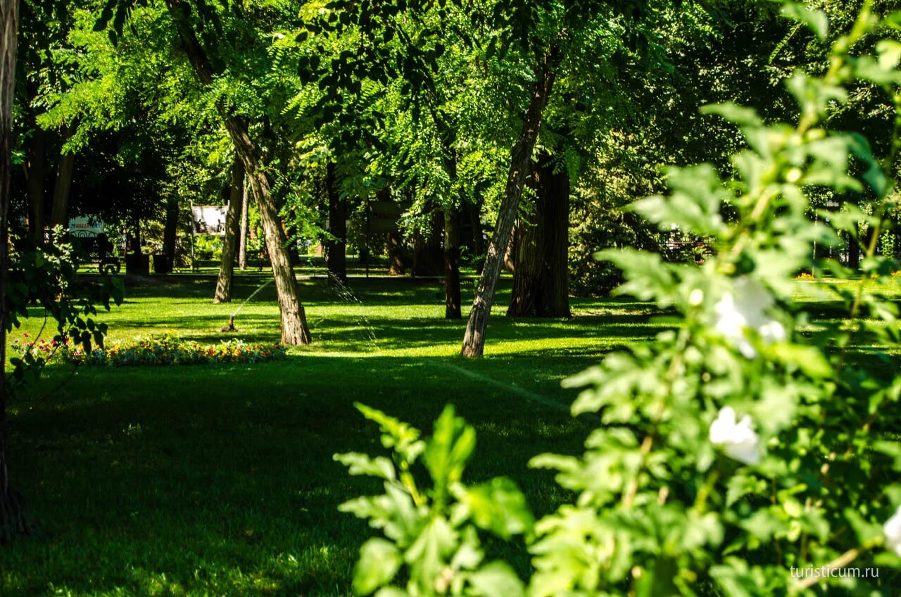 Астрахань парк. Сайты садов астрахани. Парк братский сад астрахань. Сквер татищева. Мбдоу детский сад 1 астрахань.