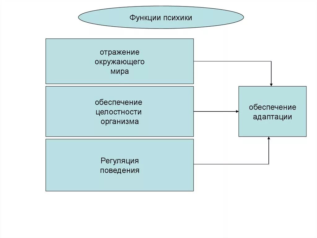 Функция психической организации. Каковы основные функции психики?. Функции психики регуляция и отражение. Психика функции психики. Основные функции психики схема.