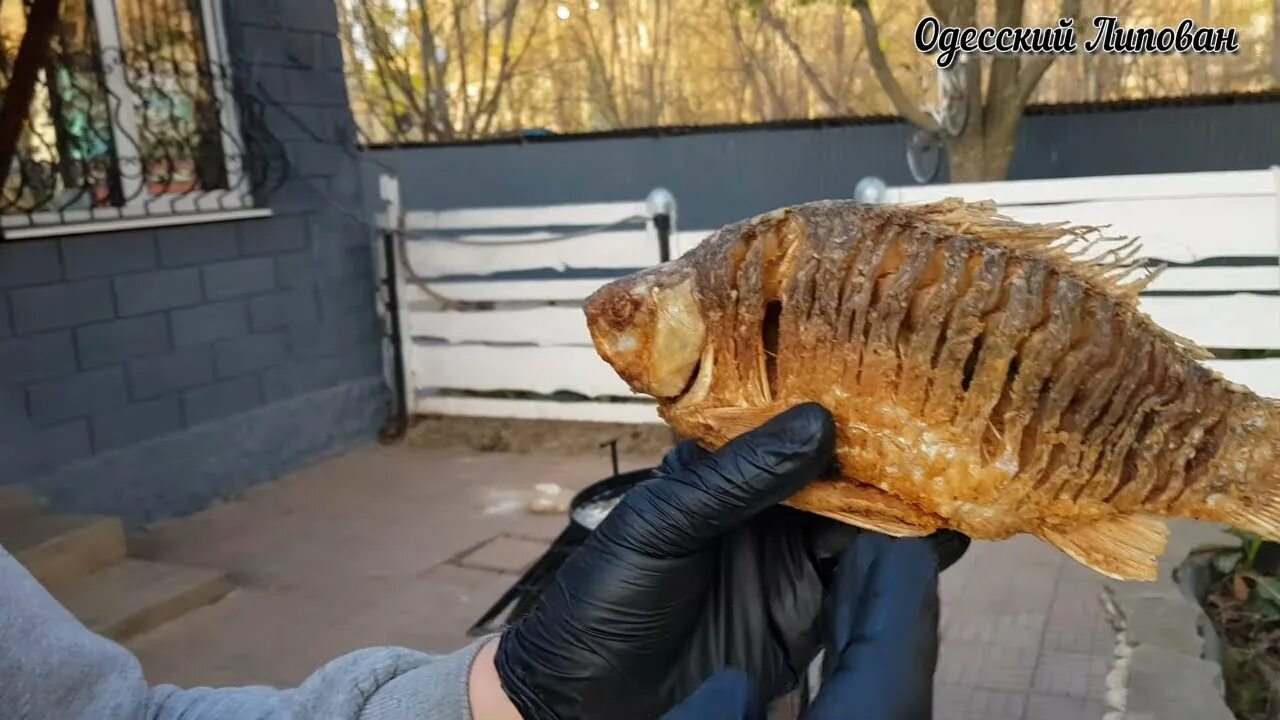 Новое видео одесского липована. Одесский липован Катюня. Жарка карася Одесский липован. Одесский липован жареный карась без костей.