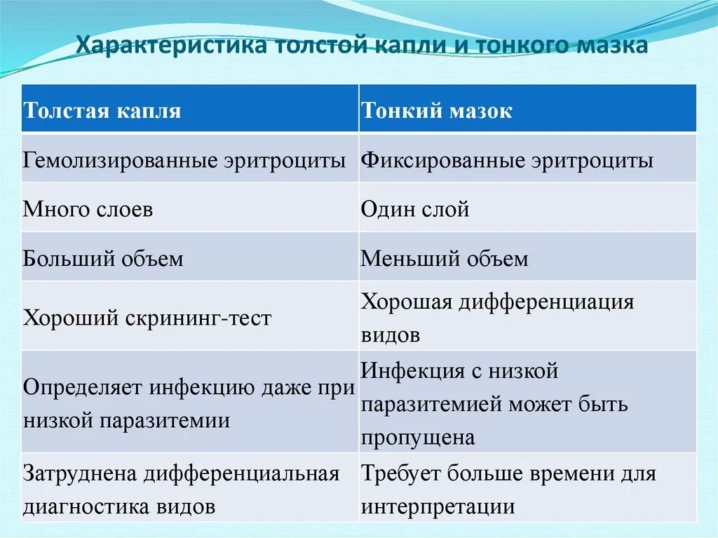 В чем видит толстой различие. Толстой капли и тонкого мазка. Тонкий мазок и толстая капля. Толстая капля и тонкий мазок алгоритм. Приготовление тонкого мазка и толстой капли.