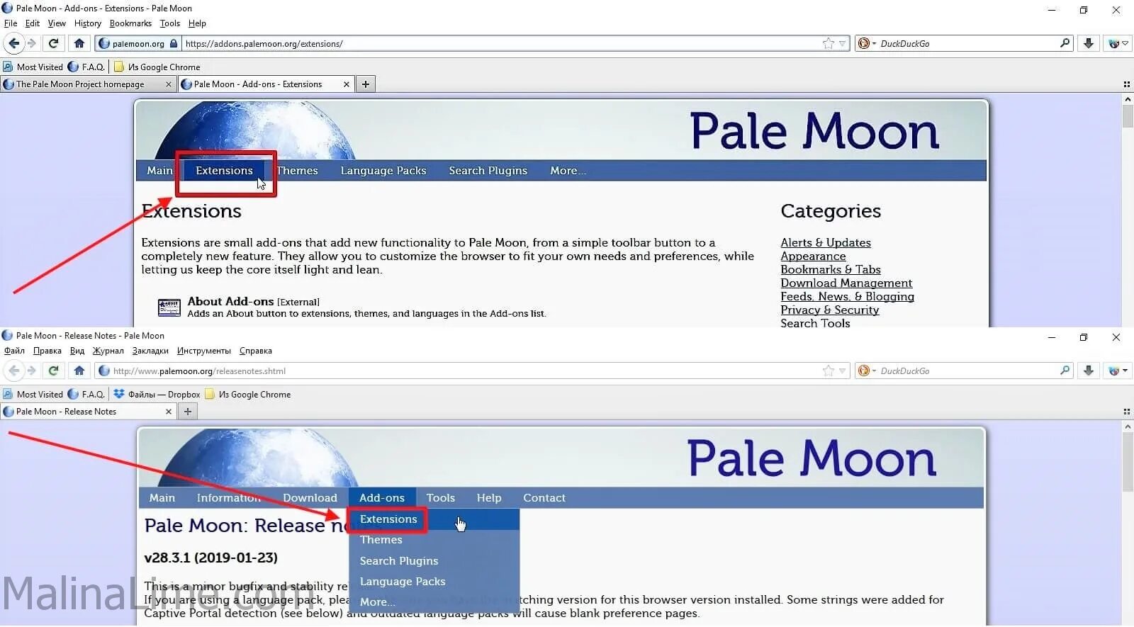 Pale Moon. Pale Moon плагины. Браузер Пэйл Мун это. Pale Moon расширения. Мун на русском языке