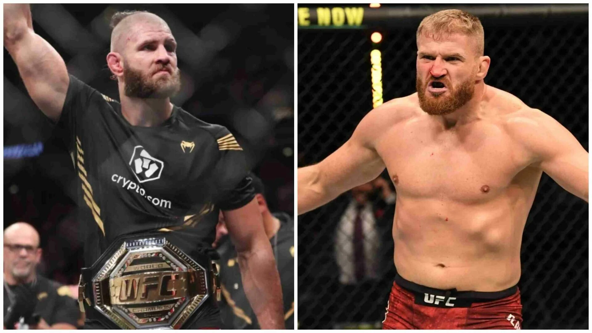 Прохазка ufc. Прохазка боец ufc. прохазка чемпион ufc.