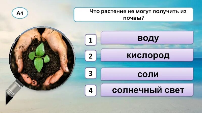 Что получают из почвы. Чем богата благородная почва. чем богата плодородная почва. что растения получают из почвы. чем богата плодородная почва перегноем песком глиной известью.