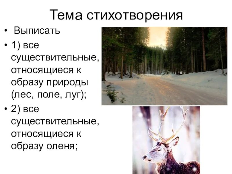 Густой зеленый ельник у дороги бунин стихотворение. Густой зелёный ельник у дороги бунин. стихотворение густой зеленый ельник у дороги. густой зелёный ельник у дороги бунин стихотворение. проанализировать стихотворение густой зеленый ельник.