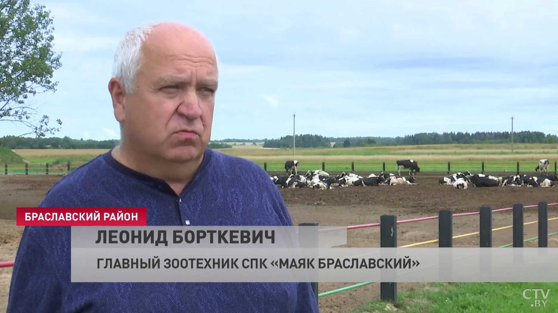 Спк маяк. Спк маяк браславский работники. спк маяк браславский работники сколько человек.