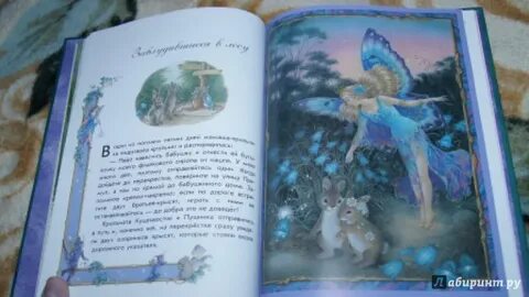 Карелин волшебные королевства