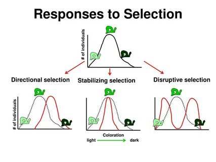 Sampling selection