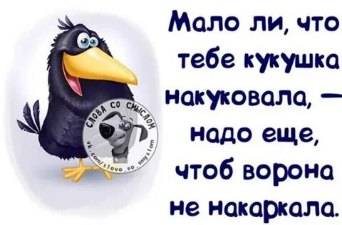 Кукушка да еще куку
