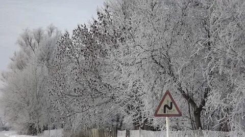 Ноябрь 2011 года