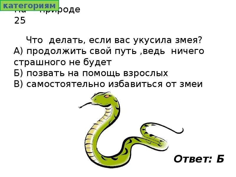 Что делать если укусила змея. Что делать если змея откусмла. Что сделать если укусила змея.