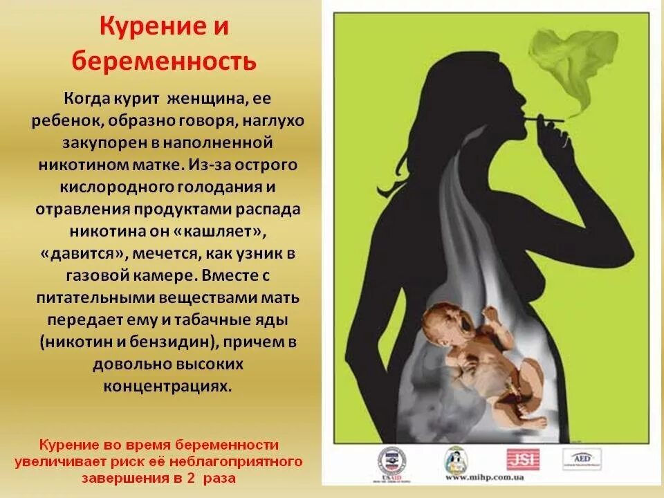 Плакат СТ-Диалог Здесь курить нельзя а я курю СОВ-861 бумага 60х40 см - купить в