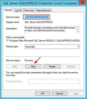 Could not start server