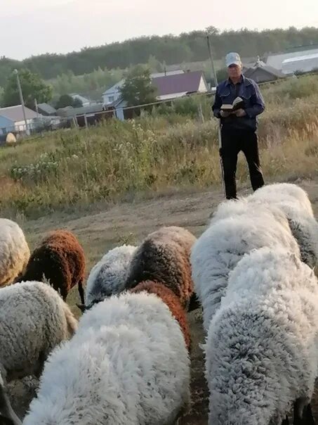 Старый Шунгут Исаклинский район. Шунгут Самарская область. Старый Шунгут Самарская область. Старый Шунгут Самарская обл Исаклинский пансионат.