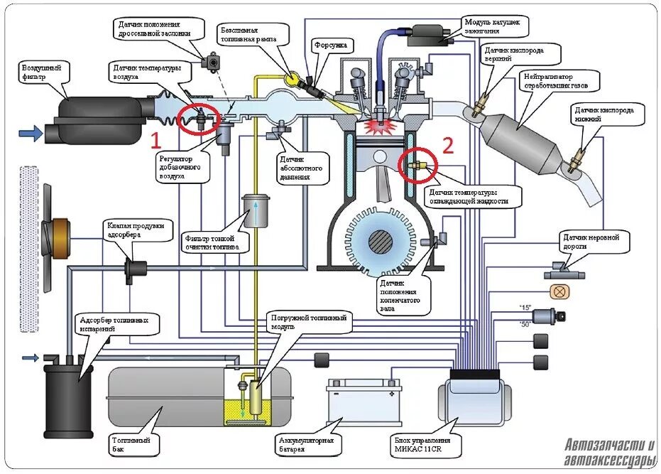 Схема датчиков двигателя Крайслер 2.4. Волга 31105 Крайслер электронная система управления двигателем. Датчики системы питания инжекторного двигателя схема. Датчики двигателя ГАЗ 31105 Крайслер схема. Датчики в двигателе автомобиля