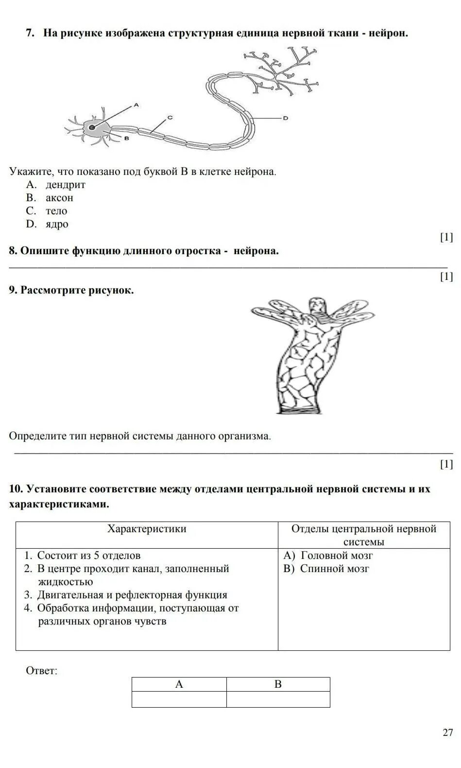 Соч по биологии 8 класс. Соры и Сочи по биологии. Соч по естествознанию 4 класс 3 четверть с ответами. Соч по биологии 7 класс 4 четверть в Казахстане. Сор по физике 7 класс 4 четверть.