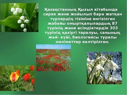 Емшек сүті бейнеленген орыс порно