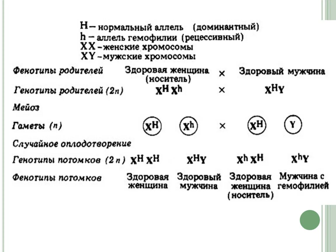 Генетика первый закон Менделя. Третий закон Менделя формулировка. Законы Менделя генетика. Первый второй и третий закон Менделя. Первый закон менделя доминирование