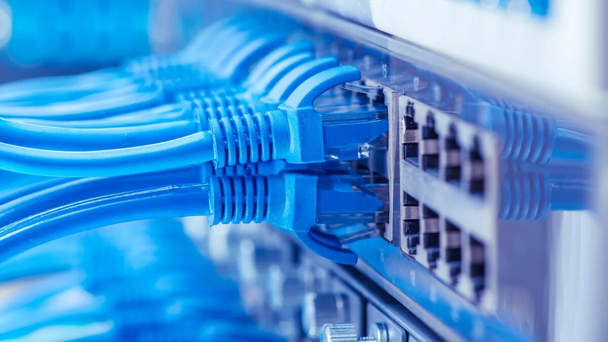 Network out