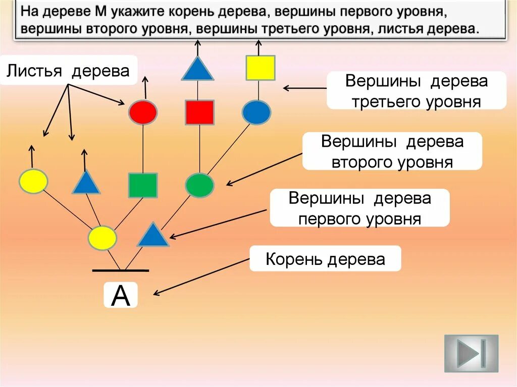 Корневой уровень. Информатика уровень вершины дерева. Информатика 3 класс уровни вершин дерева. Дерево Информатика 3 класс. Вершина дерева Информатика.