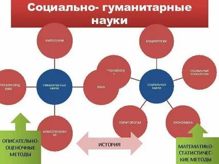 1 из основных социальных наук