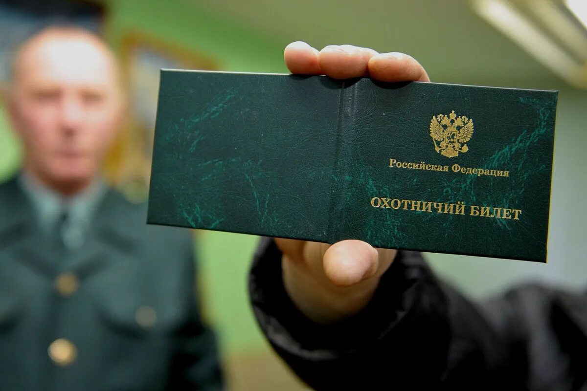 Охота без билета. Военно-охотничье общество. Охота без билета. Охота без билета. Охота без билета.