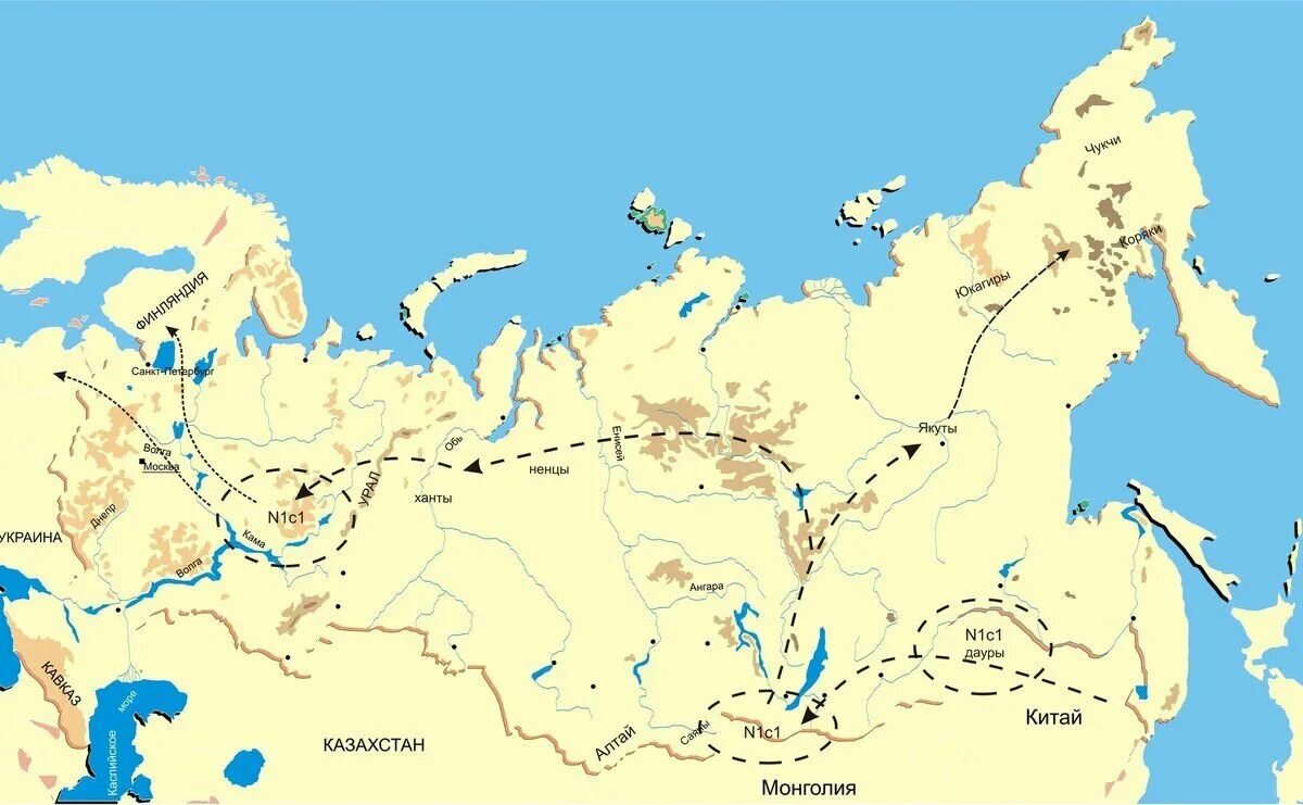 Откуда пришли народы. Миграция гаплогруппа n1a1. N1c1a1a1a гаплогруппа. Гаплогруппа n1c народы. Гаплогруппы карта n1c1.