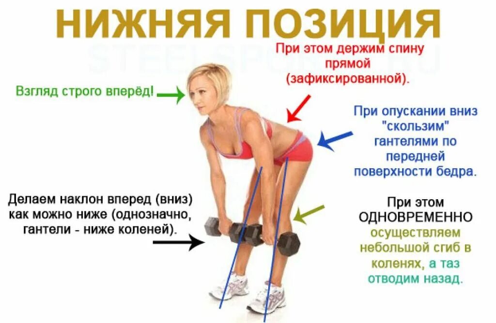 Румынская тяга с гантелями техника выполнения. Мертвая тяга с гантелями техника. Становая тяга с гантелями для девушек техника выполнения. Румынская становая тяга техника для девушек. Становая тяга для девушек техника выполнения.