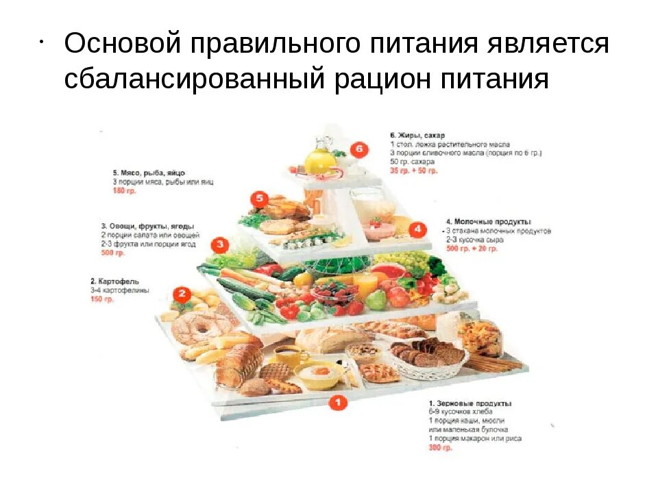 Основы пп. Основы правильного питания. основы сбалансированного питания. рацион правильного сбалансированного питания. сбалансированный пищевой рацион это.