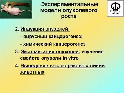 Опытная модель