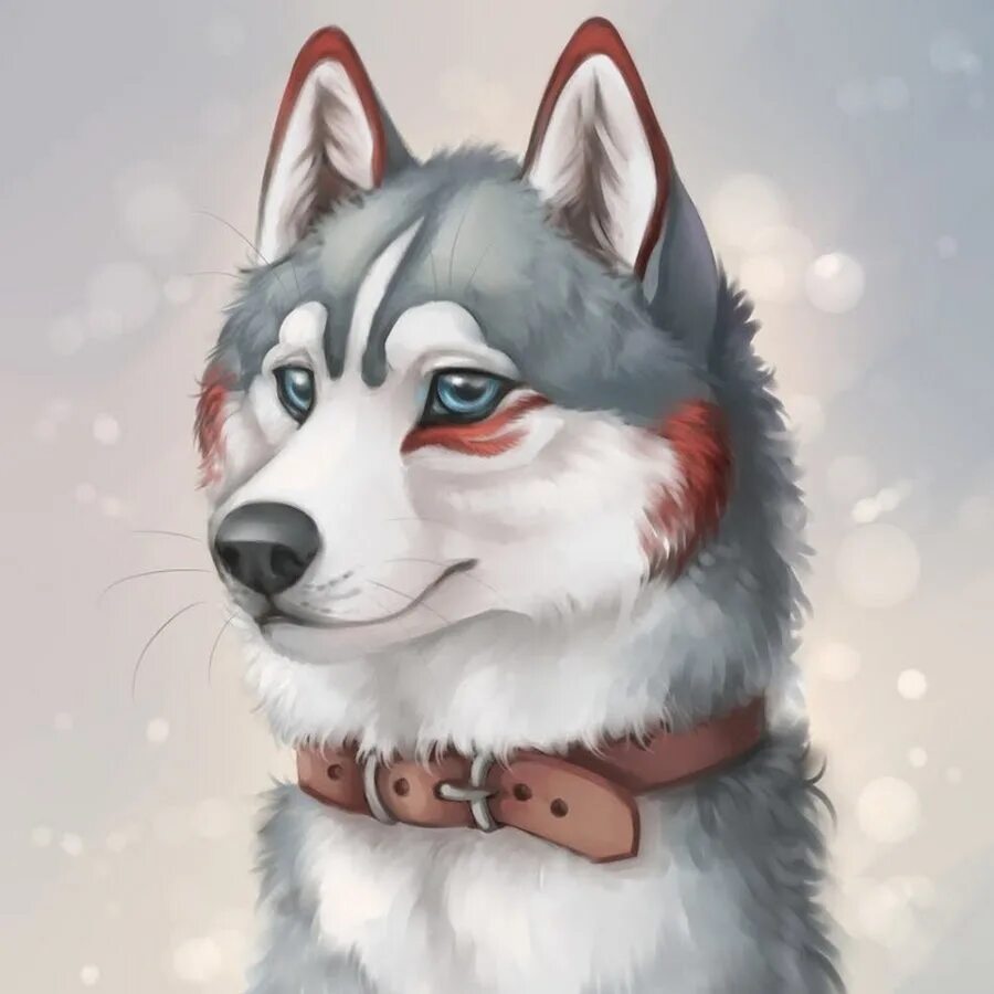 арты собак. лайка арт. аватарки для лайка для мальчиков. сибирский хаски арт. аватарки для лайка для мальчиков.