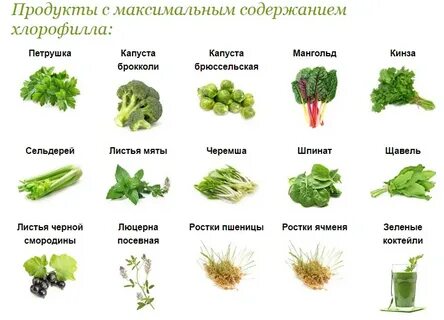 Зелень какое число
