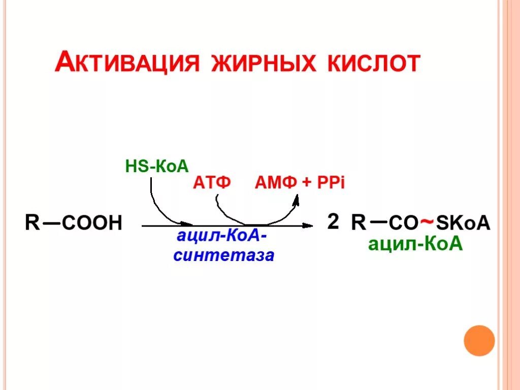 Реакция активации жирной кислоты. Уравнение реакции активации жирной кислоты. Реакция активирования жирной кислоты. Активация жирных кислот.