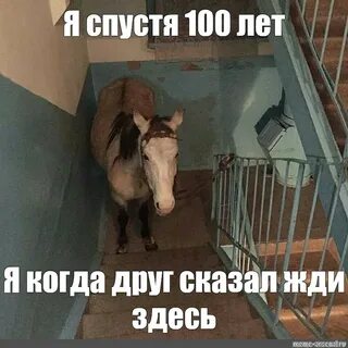 Тут ждут