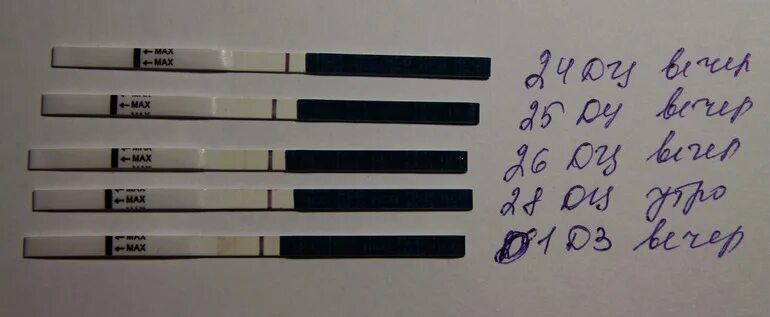 3 отрицательных теста. 3 отрицательных теста. тест на беременность до 5 дней до месячных. ложноотрицательный тест на беременность.